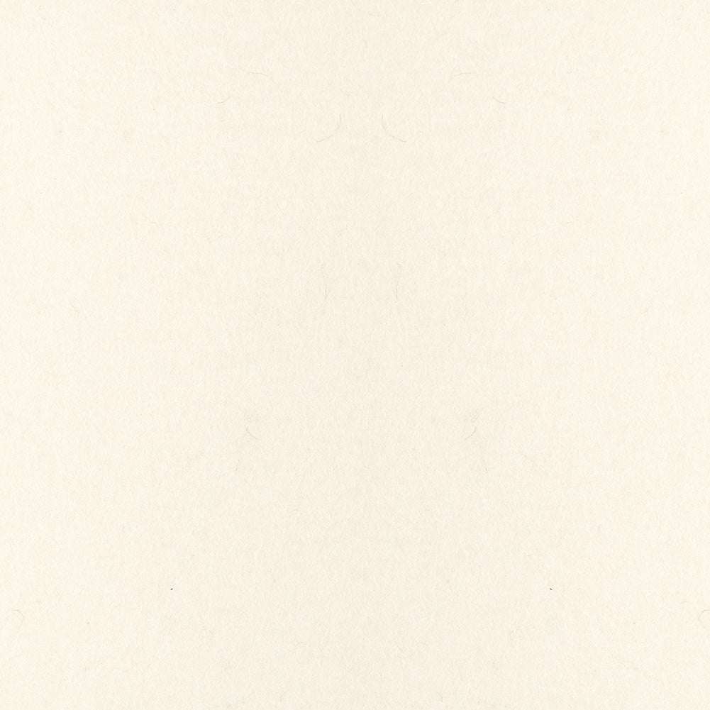 F-1 Industrial Felt Stripping with Adhesive - 50' Long