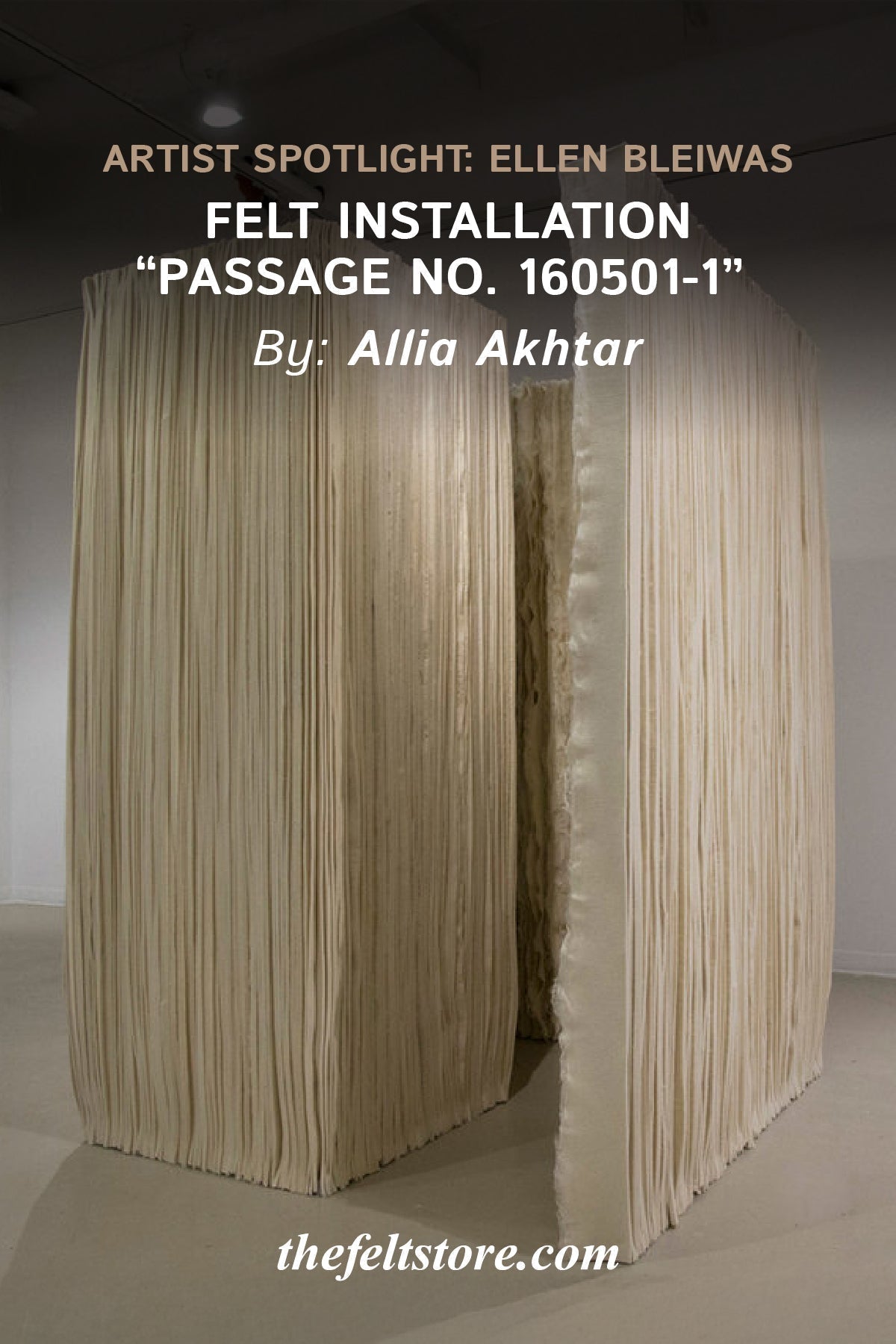 Feature of the week: Felt Artist Ellen Bleiwas