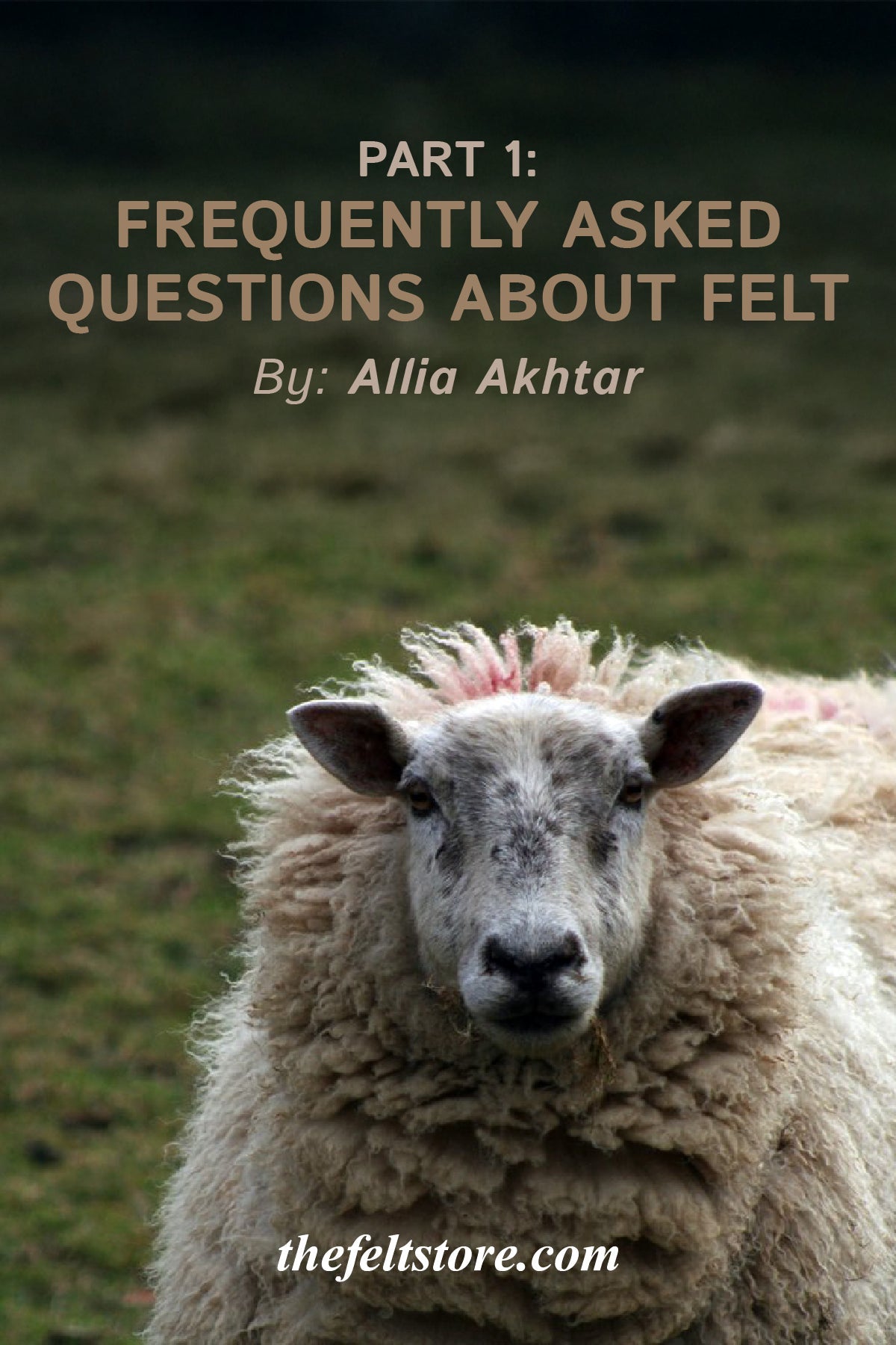 Frequently Asked Questions About Felt - Part 1
