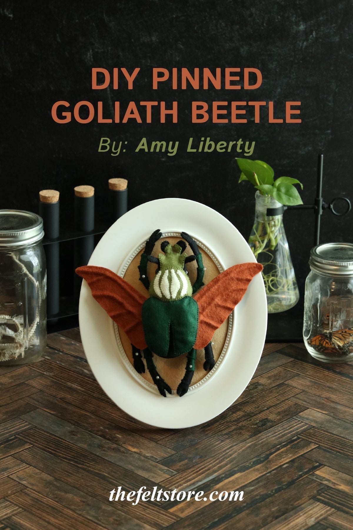 DIY Pinned Goliath Beetle