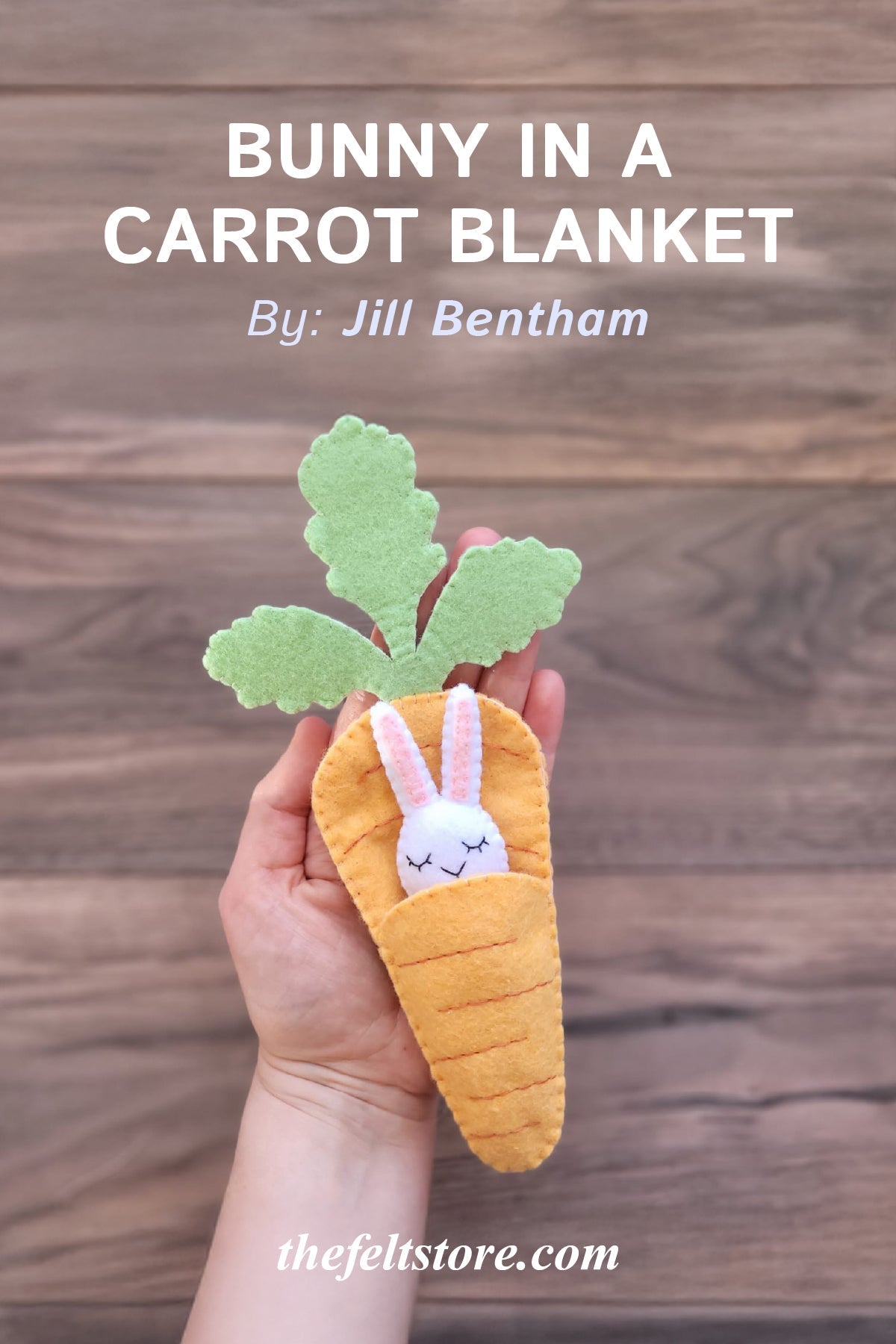 Bunny in a Carrot Blanket