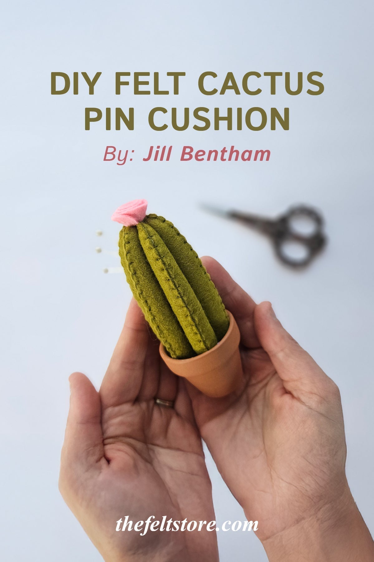 DIY Felt Cactus Pin Cushion