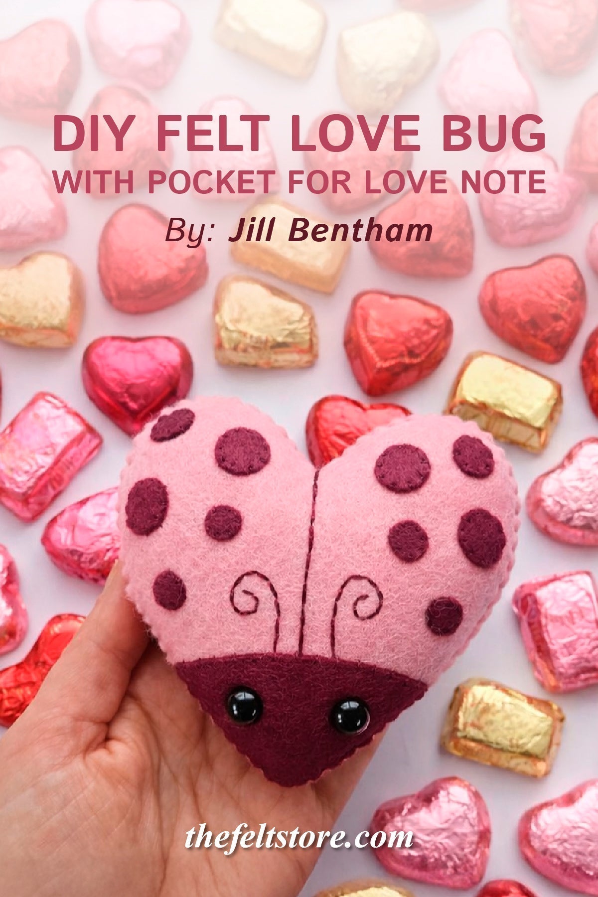 DIY Felt Love Bug with Pocket for Love Note