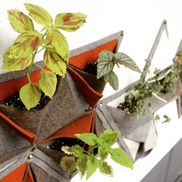 Feature of the week: Vàs Vertical Planters