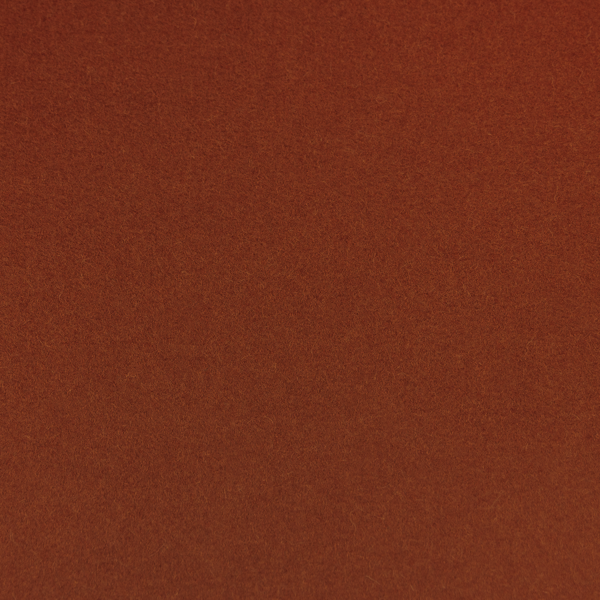 3mm Thick 100% Wool Designer Felt By Foot - Regular Collection