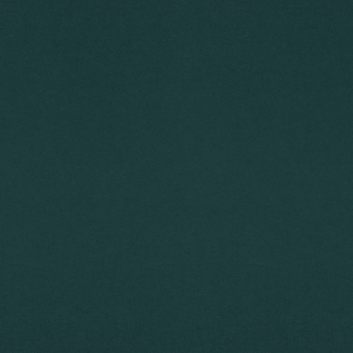 3mm Thick 100% Wool Designer Felt By Foot - Regular Collection