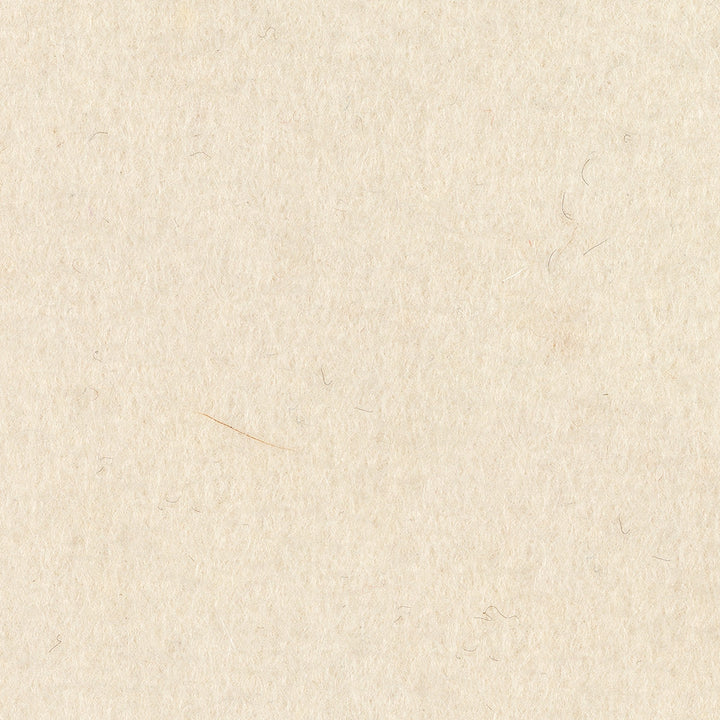 F-50 Industrial Felt Samples - 1/16" 3/32" Thick